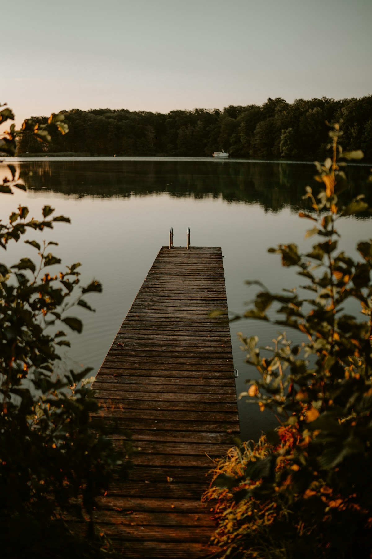 A postscript by the lake