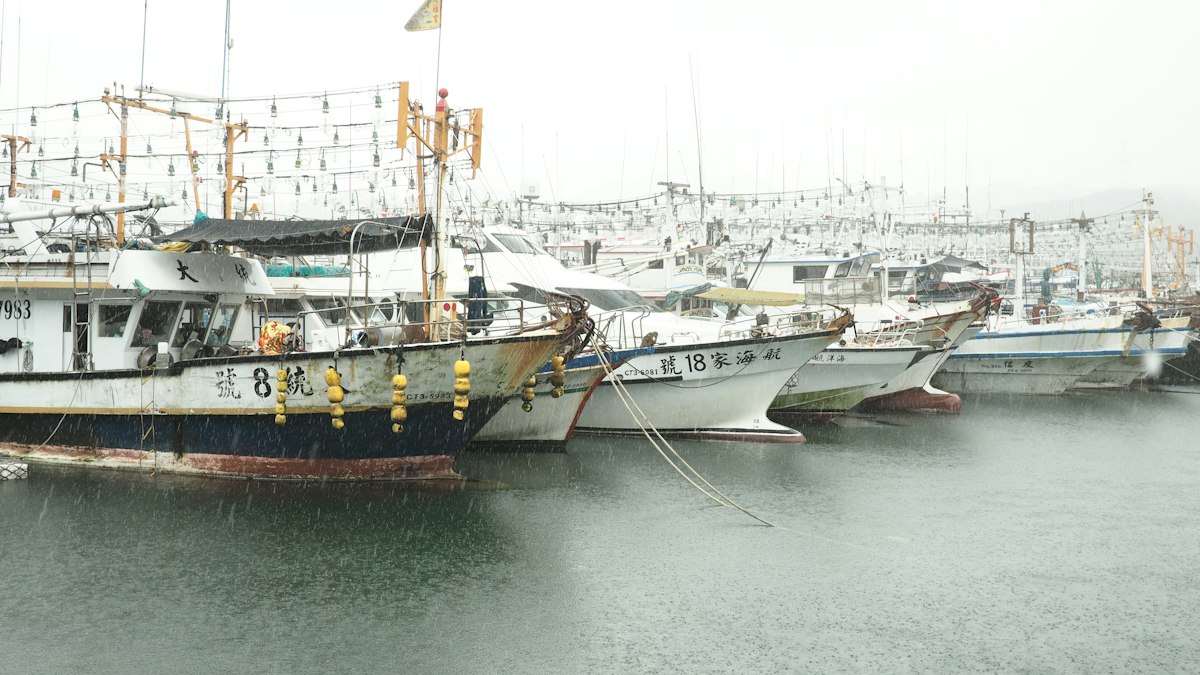 After the harbor rain